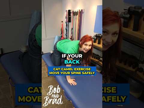 Cat-Camel Exercise: Move