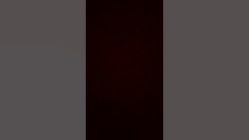 the stream starting soon