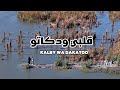 KALBY WA DAKATOO RAZAQ NOURI NOURI OFFICAL MUSIC VIDEO 2026 رزاق نوري گلبي ودگاتوو نوري KALBY WA DAKATOO RAZAQ NOURI NOURI OFFICAL MUSIC VIDEO 2026 رزاق نوري گلبي ودگاتوو نوري