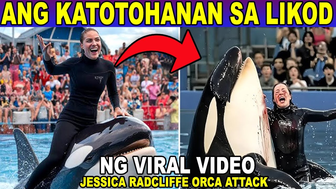 Ang KATOTOHANAN sa LIKOD ng VIRAL VIDEO -JESSICA RADCLIFFE ORCA ATTACK