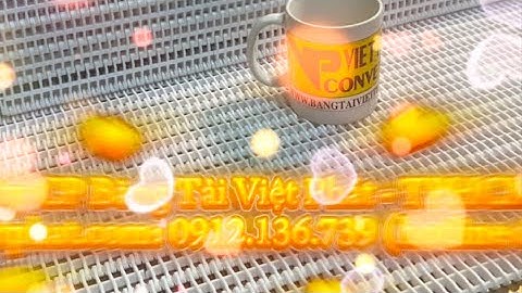 Băng tải nhựa TPHCM: có sẵn giao ngay, phân tích ứng dụng kỹ thuật băng tải nhựa và cách chọn hàng