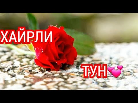 Www 24 video net Katya Sambuca porno