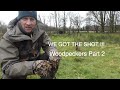 BIRD PHOTOGRAPHY-Woodpeckers from my field hide-WE GOT THE SHOT- surprise Roe deer and fox footage