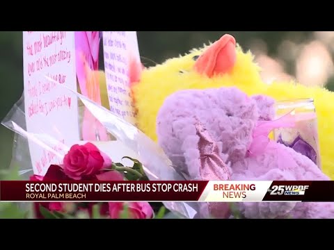 Download Second student dies after being hit by vehicle while waiting for bus in Royal Palm Beach