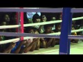 Muay thai documentary english subs