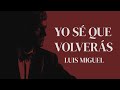 YO SÉ QUE VOLVERÁS - Luis Miguel (EDICIÓN ESPECIAL con letra)