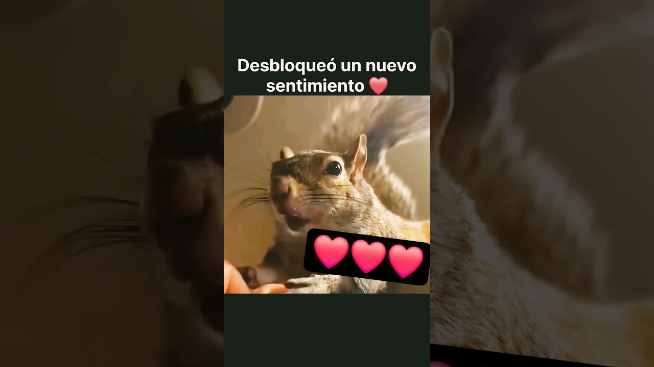 AMOR por primera vez ❤️ #amor #vida #viral #Teamo #animalshorts #viralanimals #humankdad #naturaleza