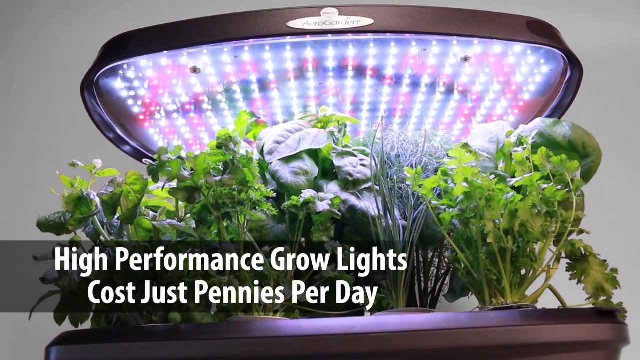 MiracleGro AeroGarden Bounty Review YouTube