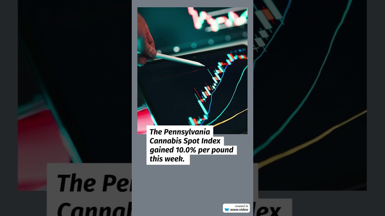 Cannabis Benchmarks US Spot Index Report for July 25, 2025 