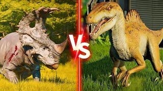 Spinoceratops VS Spinoraptor 🦖 Dinosaurs Battle Animation - Jurassic World Evolution 2 - JWE2
