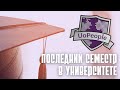 Дипломный проект в University of the People, который я чуть не завалила!