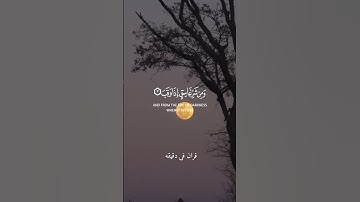 قران كريم ارح قلبك وسمعك #قران_في_دقيقة #المنشاوي #quran #قرآن @قران_في_دقيقه