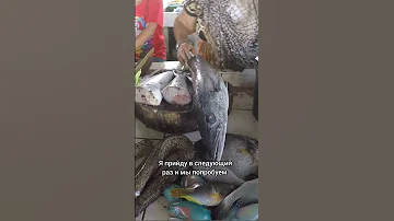 Настоящая барракуда. Рыбный рынок на Филиппинах