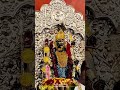 Joy maa kali #enjoywithshivani #ytshorts #virlshorts #youtubeshorts #treadingshorts #shortvideo