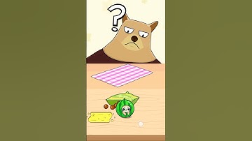 Best Hide and Seek Cat Escape Gameplay #hideandseek #puzzle #games