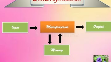 11 std Computer science ||Part-1||Chapter-3||Computer Organisation||