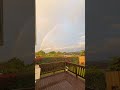 Mr.Rainbow🌈 #rainbow #nz