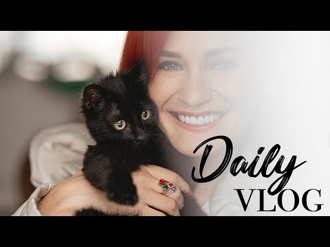 Daily vlog | Am adoptat un pui de pisica + un GIVEAWAY fabulos! ❤️