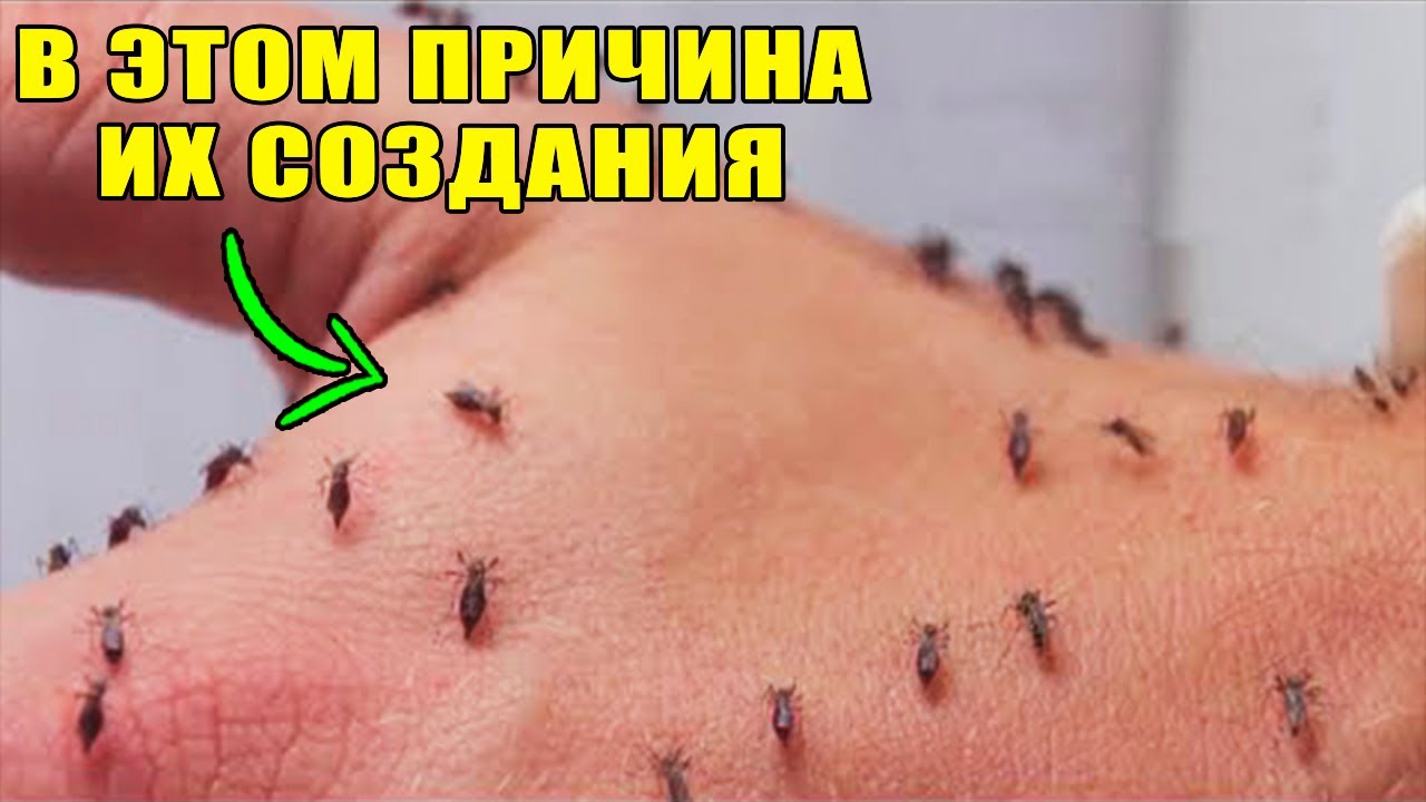 ПОЧЕМУ АЛЛАХ СОЗДАЛ КОМАРА, УЧЕНЫЕ УДИВИЛИСЬ ОТ РЕЗУЛЬТАТОВ ...
