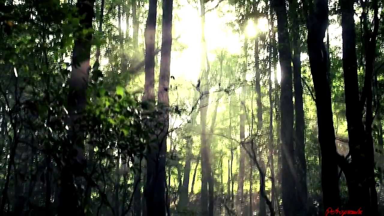 Klaus & Caroline | A New Hope |AU|