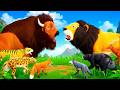 Animal Kingdom Challenge Who Will Run To Victory Farm Vs Wild 