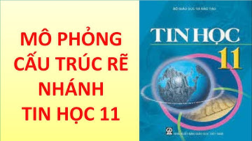 MÔ PHỎNG CẤU TRÚC RẼ NHÁNH TIN HỌC 11 | Nguyễn Xuân Hồng IT