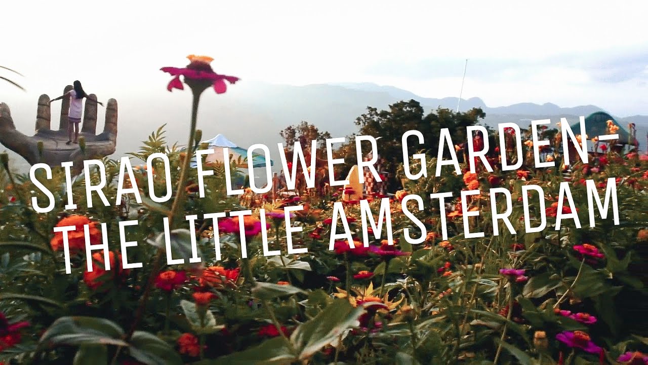 SIRAO FLOWER GARDEN- THE LITTLE AMSTERDAM OF CEBU