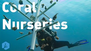 The Pros and Cons of Coral Nursery Trees