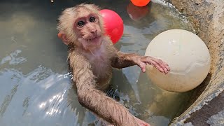 Most Adorable Jack Extremely Content In Big Tube Bathing
