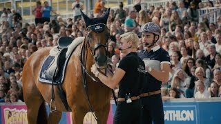 FLYING MY HORSE ACROSS THE WORLD Episode 5|| Chasing the Dream