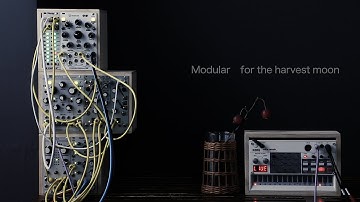 Modular for the harvest moon/Eurorack Ambient/Ensemble Oscillator Marbles Plaits Steppy Volca Sample