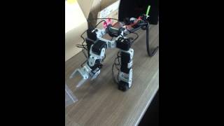 robot dog. dynamixel. opencm. OLLO.OR.KR