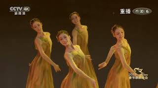 [2023年央视春晚4K字幕版]舞蹈《我们的田野》 表演：辽宁芭蕾舞团（字幕版）|2023年央视春晚4K