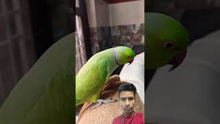 Httpsyoutubecomshortsapjo9esiumnhwsilwawnre3t