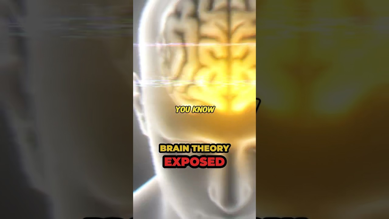 BRAIN THEORY EXPOSED