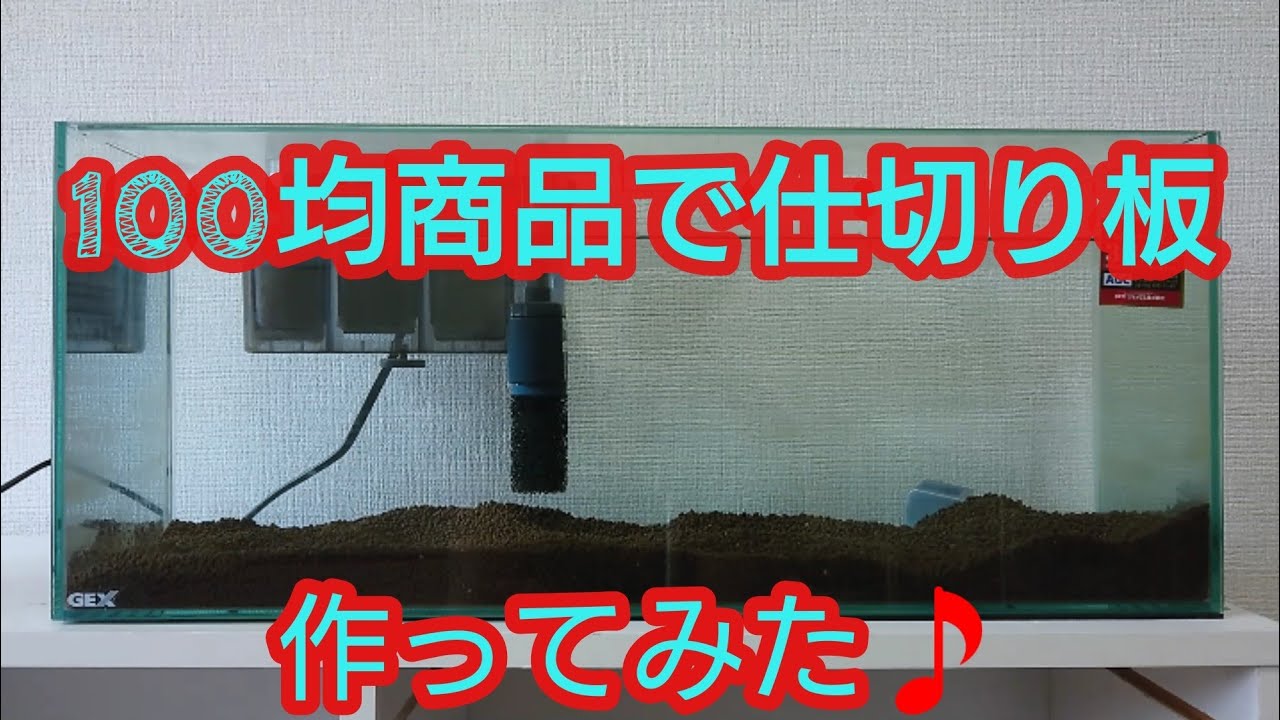 100均商品で水槽の仕切り板作ってみた Youtube