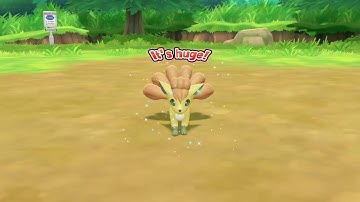 Pokemon Lets Go Eevee catching Shiny Vulpix