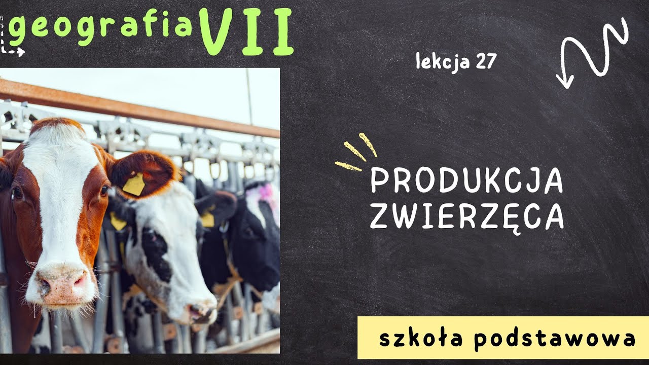 Geografia klasa 7 [Lekcja 27 - Produkcja zwierzęca] - YouTube