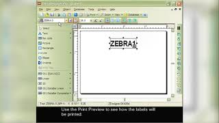 Zebra Designer Software Adding a counter to the text field