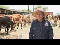 Abundancia lctea para clima clido  la finca de hoy