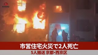 市営住宅火災で2人死亡 5人搬送、京都・西京区