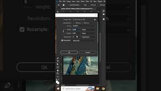 How to Resize an Image in Photoshop in 30 Seconds #PhotoshopShorts #PhotoshopTricks