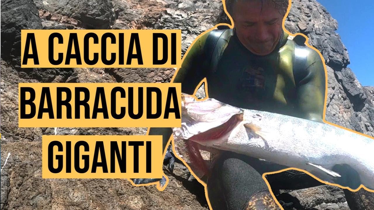 Kit Braccio Pesca Mare Fai Da Te Per Barca - CJT