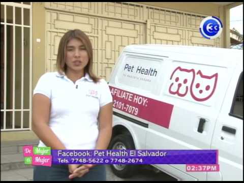 Video: Privacidad Médica Para Mascotas