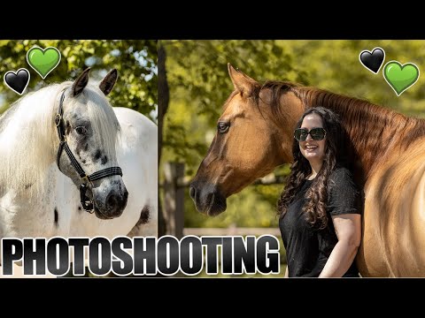 PHOTOSHOOTING 📸 with my HORSES 🐴 Kerry & Snow