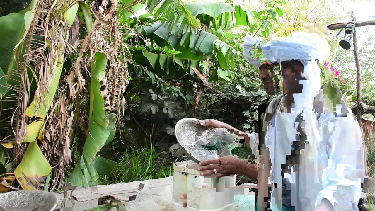 الحاج الضوى وعبد الناصر حرامى السمك 😂