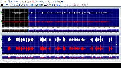 Using GoldWave with screen reader hosted by Pradip Chandra Sikdar session 10 in English