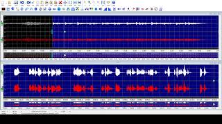 Using GoldWave with screen reader hosted by Pradip Chandra Sikdar session 10 in English