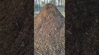 "Back to Eden" Woodchip Compost 2 years old.