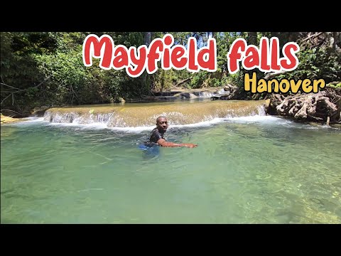 Unmatch beauty of mayfield falls jamaica,  water so clean  an clear its unbelievable, hanover gem. 